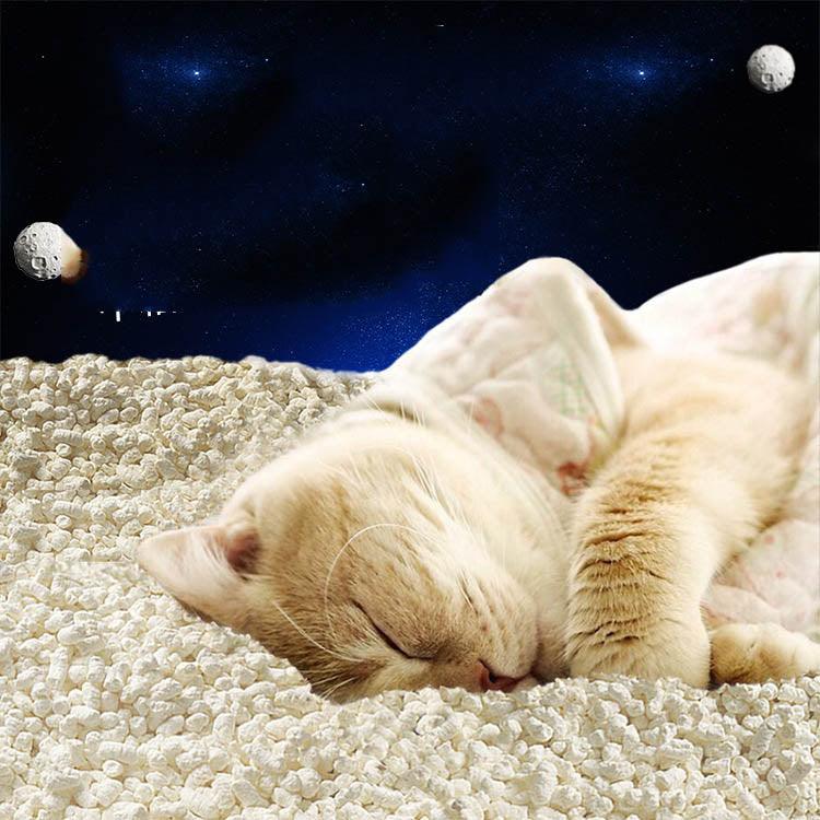 Tofu Fresh Scented Space Litter-1
