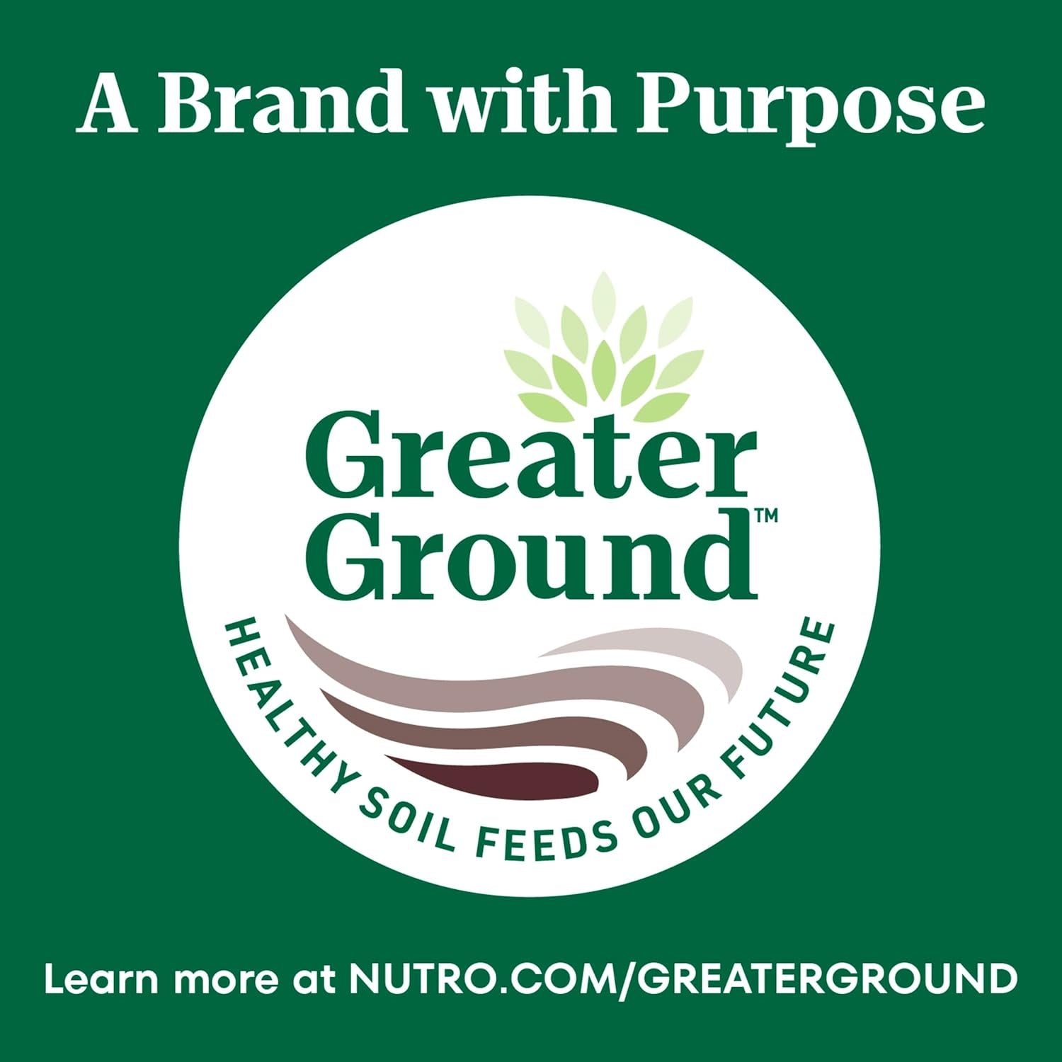 Wholesome Essentials Adult Dry Cat Food, Chicken & Brown Rice Recipe, 5 Lb. Bag