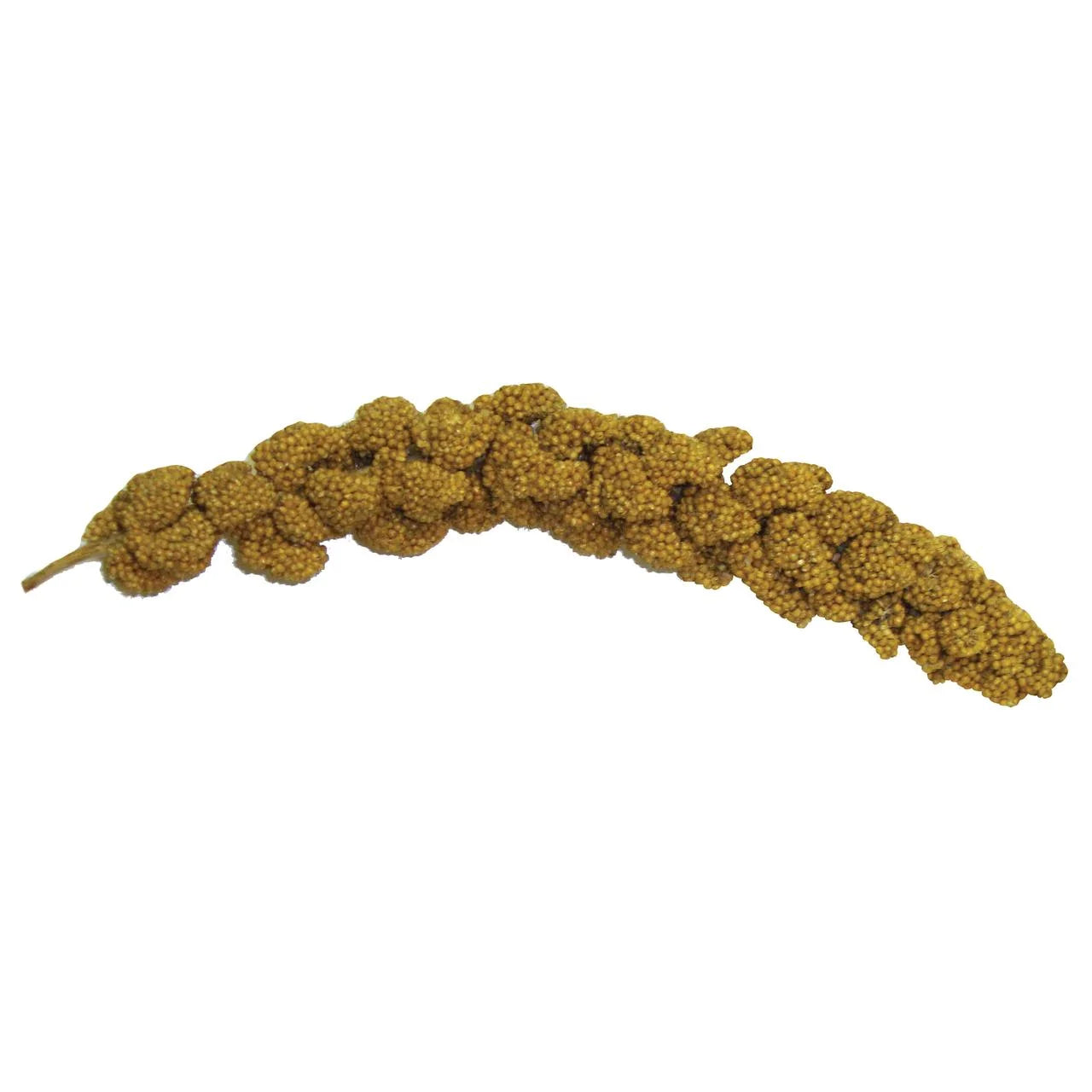 Extreme Natural Millet Spray Bird Treats, 7 Count