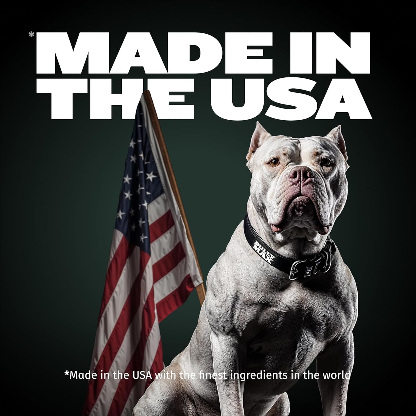 High Performance Premium Dry Dog Food for All Ages - High Protein Natural Puppy Food for Small & Large Breed Puppies & Adult Dogs, 15 Lb Bag